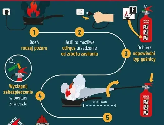 Kiedy straż pożarna usunie gniazdo os lub szerszeni? Nowe zasady