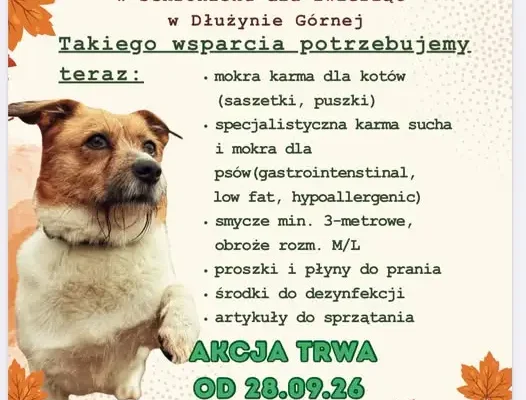 X edycja akcji „Psu na budę” – Szkoła Podstawowa nr 2 w Lubaniu pomaga zwierzętom ze schroniska w Dłużynie Górnej