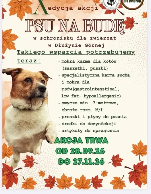 X edycja akcji „Psu na budę” – Szkoła Podstawowa nr 2 w Lubaniu pomaga zwierzętom ze schroniska w Dłużynie Górnej