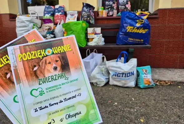 Szkolna zbiórka karmy w Trójce zakończona – dary trafiły do schroniska ZWIERZaki
