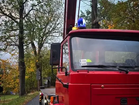 Złamany konar przy ul. Długiej w Świeradowie-Zdroju — interwencja OSP