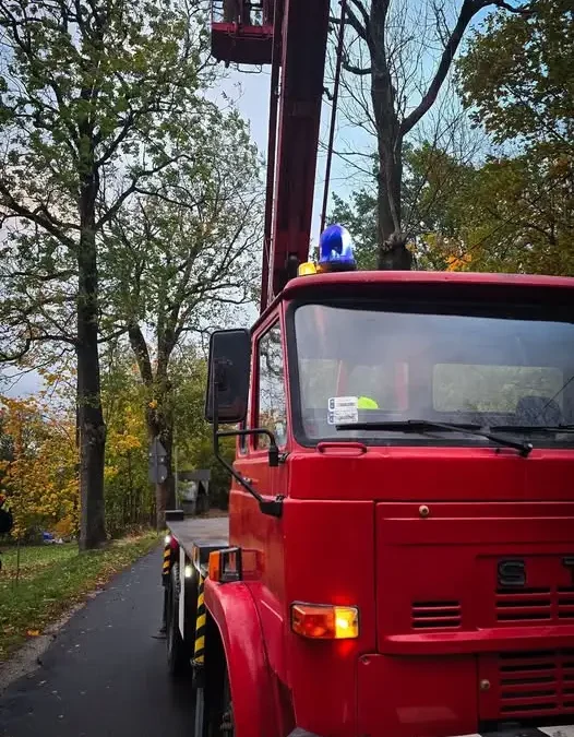 Złamany konar przy ul. Długiej w Świeradowie-Zdroju — interwencja OSP